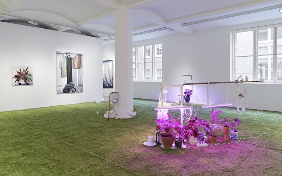 Breeeeze: Four Artists Consider The Ambivalence Of Domestic Space –  Elizabeth Fullerton