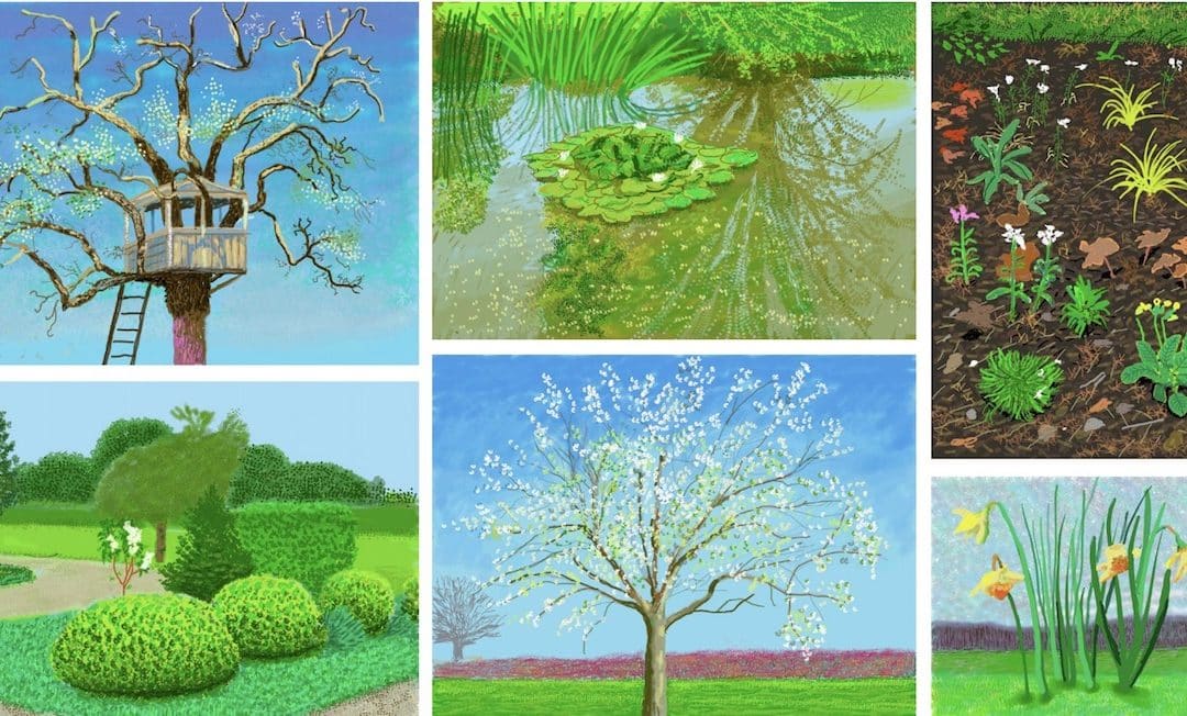 David Hockney: The Arrival of Spring, Normandy – Royal Academy