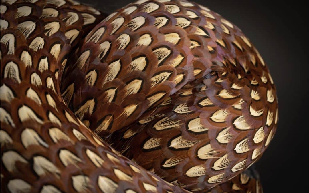 Rock Paper Scissors: Material Games Played In Slow Motion – Close Somerset