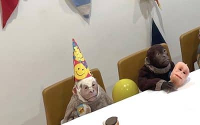  Still Life: Immortal Apples Eternal Eggs – Hastings Contemporary – Brian Childs