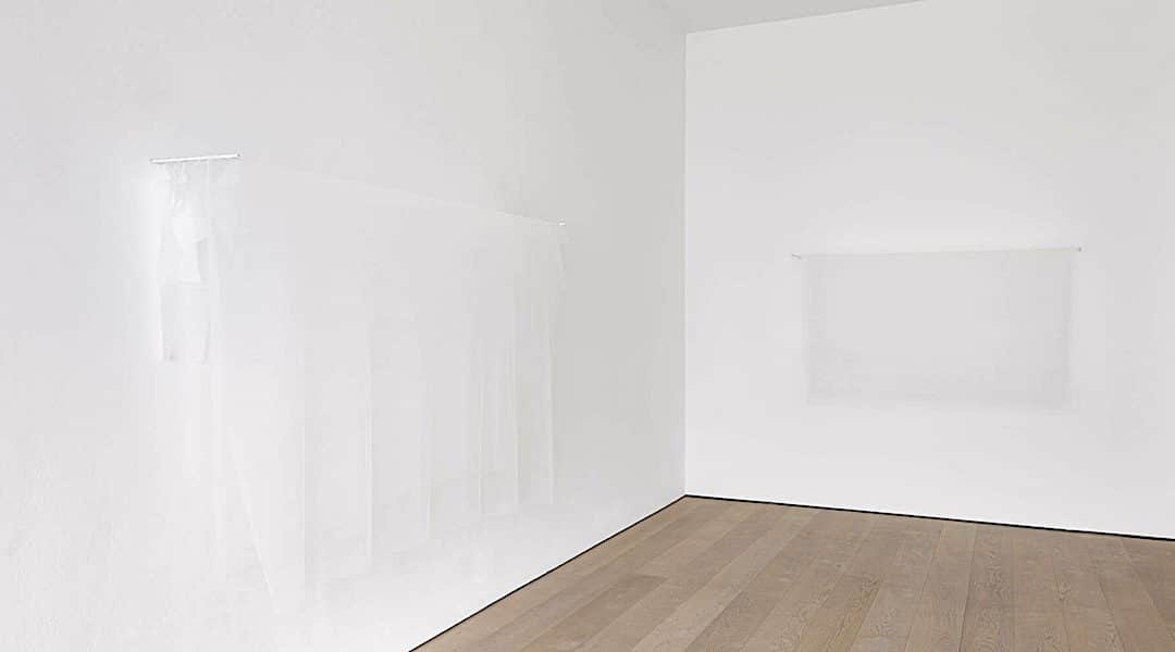 Spencer Finch: Interview of the Month July 2021 – Paul Carey-Kent