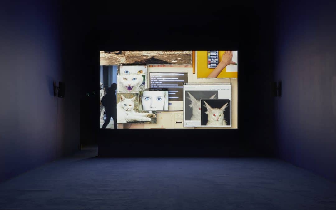 Camille Henrot: Scientific History And Creation Story Mash Up – Revd Jonathan Evens 