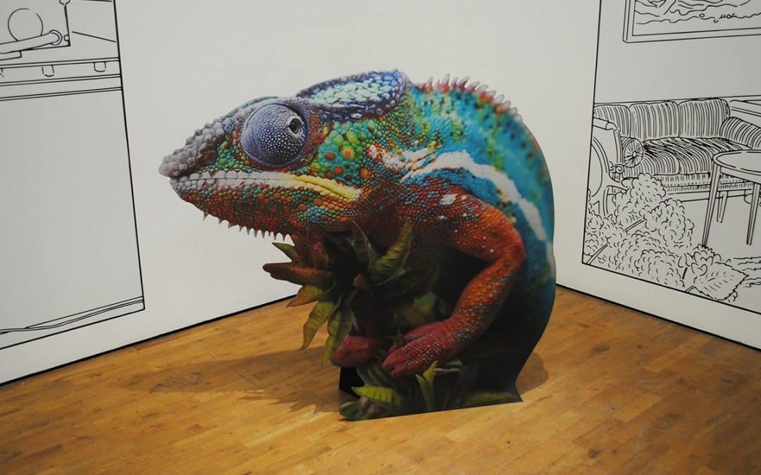 Modern Art Oxford, The Vanished Reality: Temporal, Sociological, And Cultural Locations