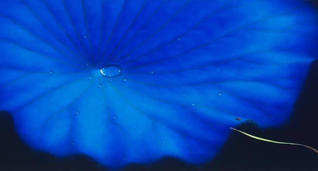 South Korean Artists Sang Woon Nam And Ji Young Hong Exhibit At J/M Gallery London