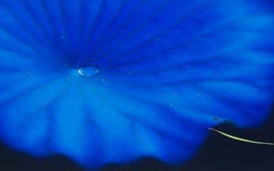 South Korean Artists Sang Woon Nam And Ji Young Hong Exhibit At J/M Gallery London