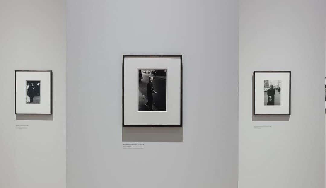 Diane Arbus  Street Of Secrets – Hayward Gallery – Sue Hubbard