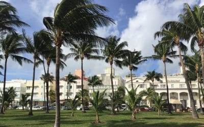 Art Basel Miami Beach What The Dealers Said – 2017 Round-Up