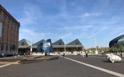 Art Brussels Ten Of The Best From The 50th Anniversary Edition – Paul Carter Robinson