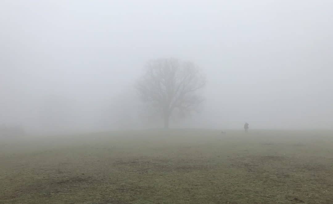 Serpentine Marathon Explores The Complex And Timely Topic Of Extinction