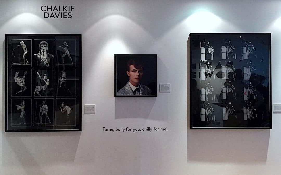 David Bowie Musician, Actor and Visual Artist Dies Aged 69