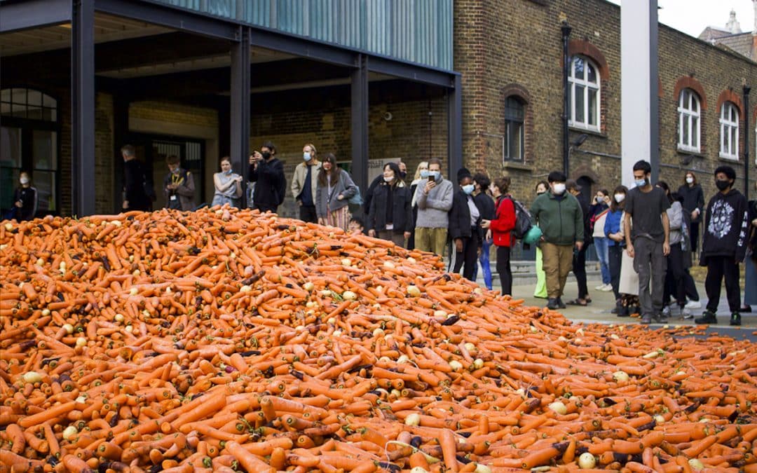 Watch Goldsmiths MFA Graduate Student Dump 31 Tonnes Of Carrots