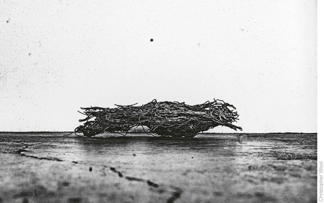 Christopher Wool To Exhibit New Works On Paper In London