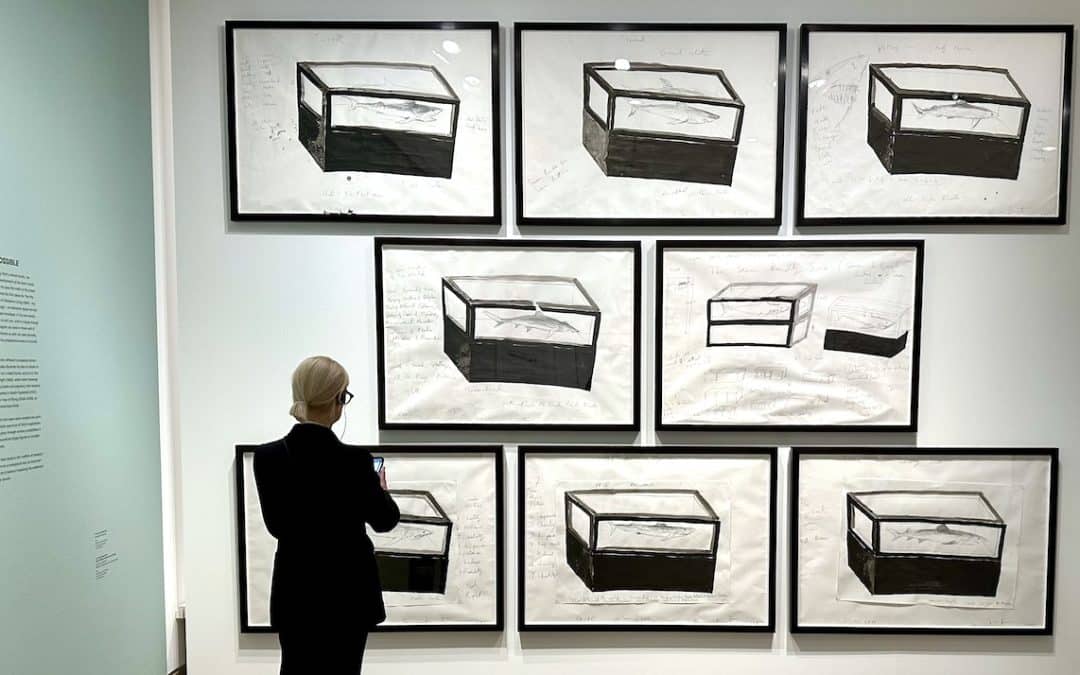 Damien Hirst: The Unseen Drawings Behind The Velvet Curtain