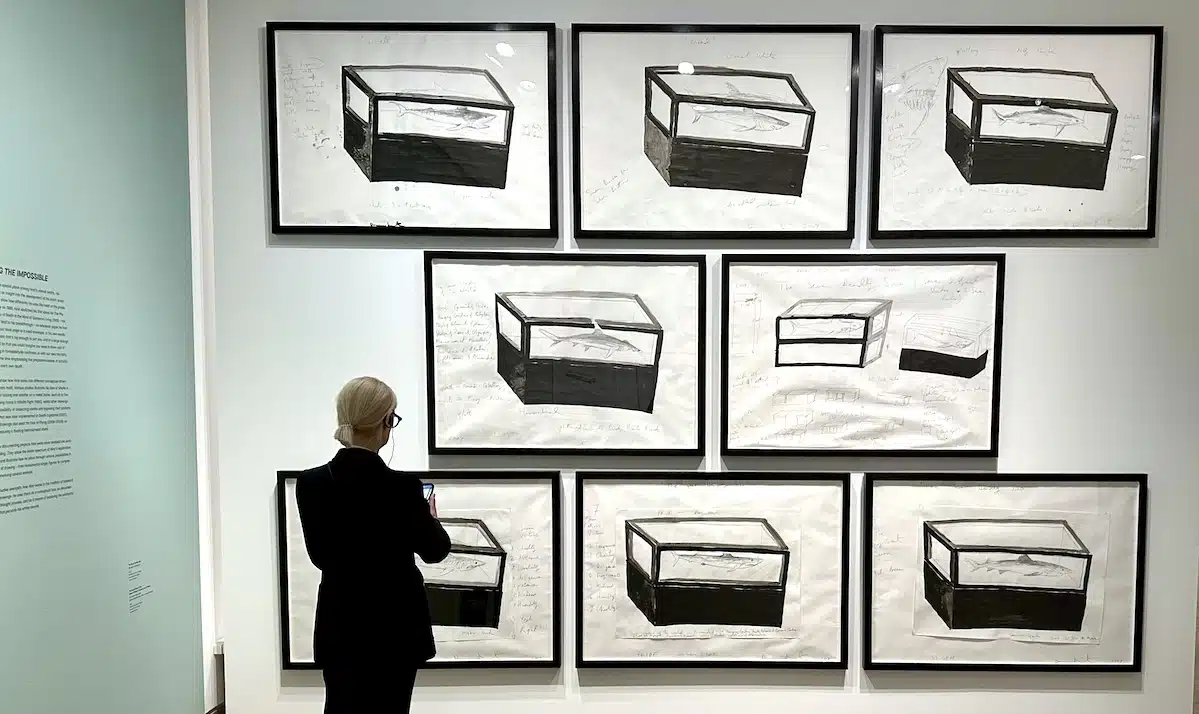 Damien Hirst: The Unseen Drawings Behind The Velvet Curtain - Artlyst