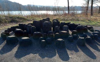 David Nash: Interview of the Month April 2022 – Paul Carey-Kent