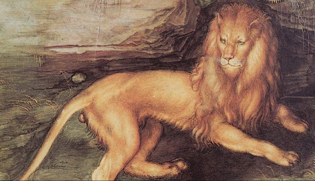 Albrecht Dürer Subject Of Major National Gallery Exhibition This Autumn