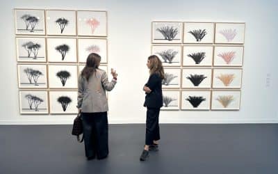 Fair Comment 2025: International Art Fairs Guide – Recommended By Artlyst