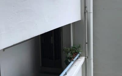 Female Midas Depicts Alternative Golden Perspective Through Visual Art