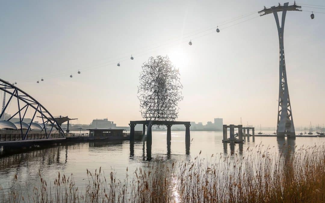 The Line Launches Online To Celebrate 5th Anniversary