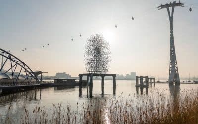 The Line Launches Online To Celebrate 5th Anniversary