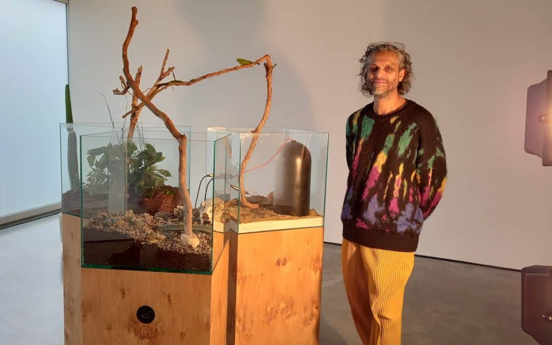 Haroon Mirza: Interview of the Month, March 2023 – Paul Carey-Kent