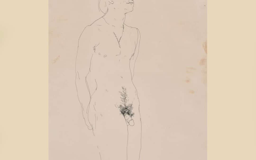 David Hockney: Intimate Sketch Of Lover Peter Schlesinger Auctioned