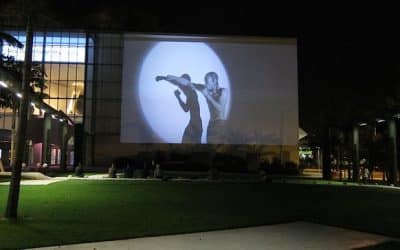 Art Basel Miami Beach Announces 2016 Film Programme Selected By David Gryn