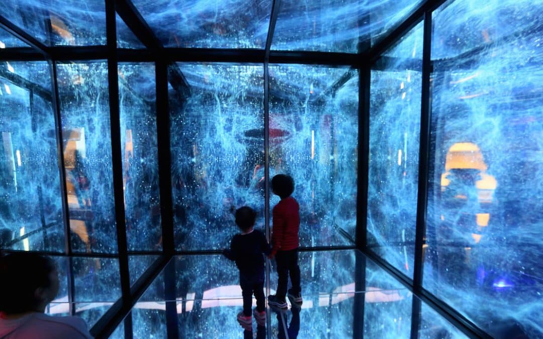 Artist Iyvone Khoo Creates Immersive Infinity Cube Installation For Birch Aquarium