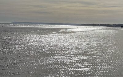 Artist Ken Price Dies Before His Major Retrospective Aged 77