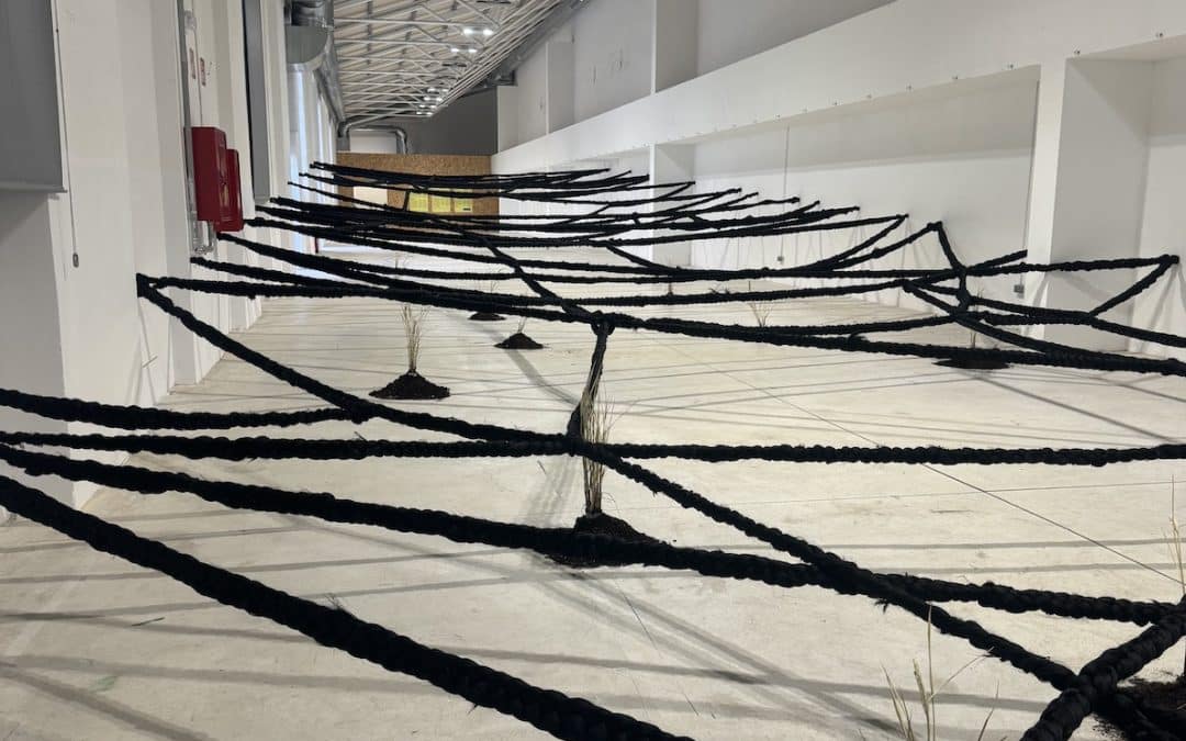 Manifesta 15 Barcelona A Unique Experience – Virginie Puertolas-Syn