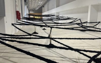 Manifesta 15 Barcelona A Unique Experience – Virginie Puertolas-Syn