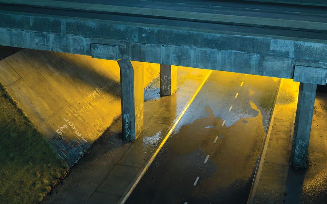 Mark Leckey: The Power of Bleakness – Tate Britain – Edward Lucie-Smith