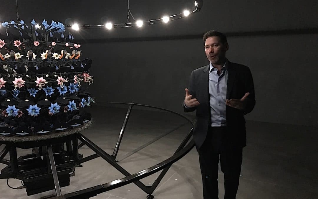 Mat Collishaw: Forms Of Illusion And Truth By Sue Hubbard