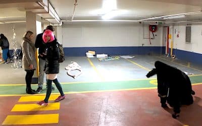 Animal Art: Practitioners Cultivating Interspecies Perspectives – Jude Cowan Montague