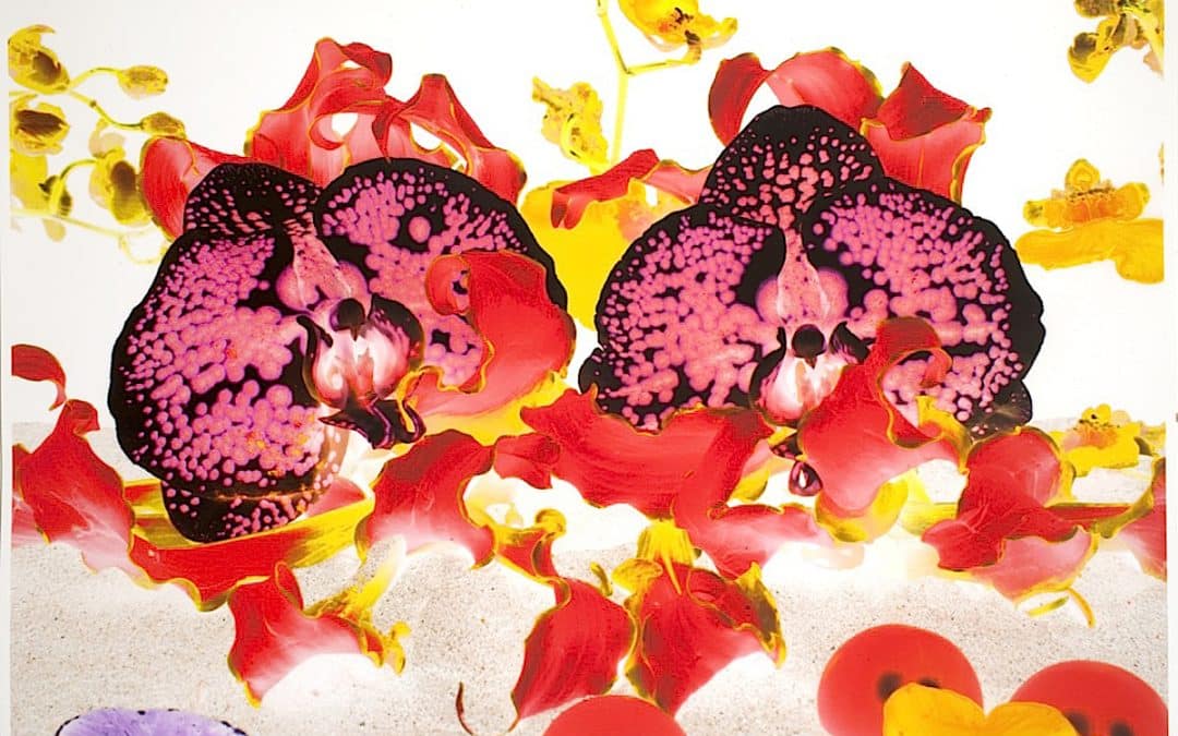 Nature Morte: Contemporary Still life Explored At Guildhall Art Gallery