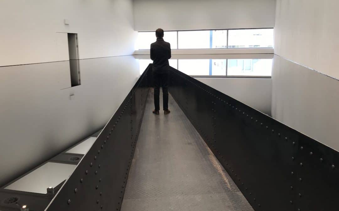 Richard Wilson 20:50 Significant Works First Created 1987 – Sue Hubbard