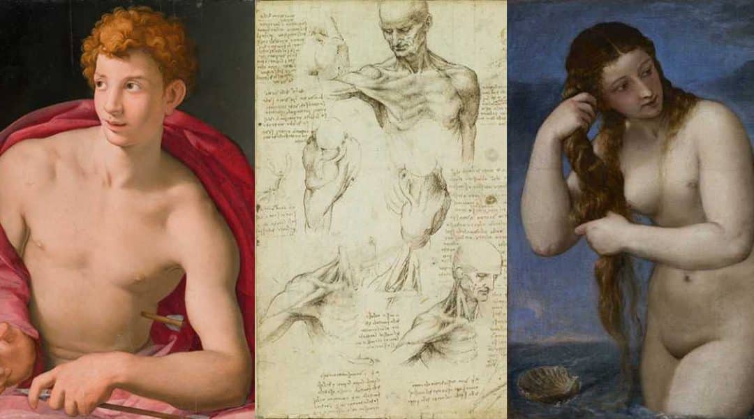 The Renaissance Nude Exposed – Royal Academy – Edward Lucie-Smith