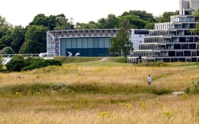 London Art Fair Partners With Sainsbury Centre For 2025 Event