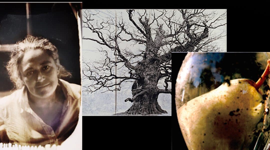 Tacita Dean Three Prong Exhibition To Spread Across Major London Galleries