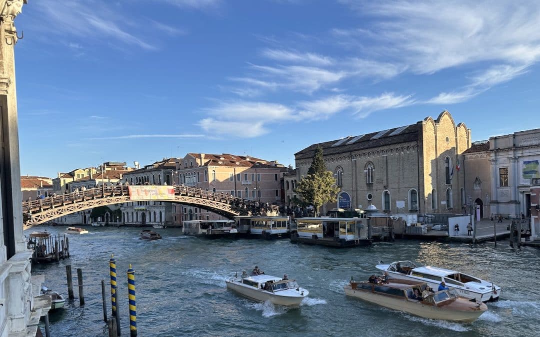 The Ultimate Venice Biennale Collateral Events 2024 – Lee Sharrock