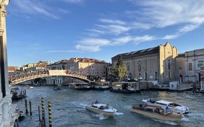 The Ultimate Venice Biennale Collateral Events 2024 – Lee Sharrock