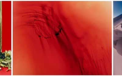 Wolfgang Tillmans: The Way We Look Collection At Christie’s
