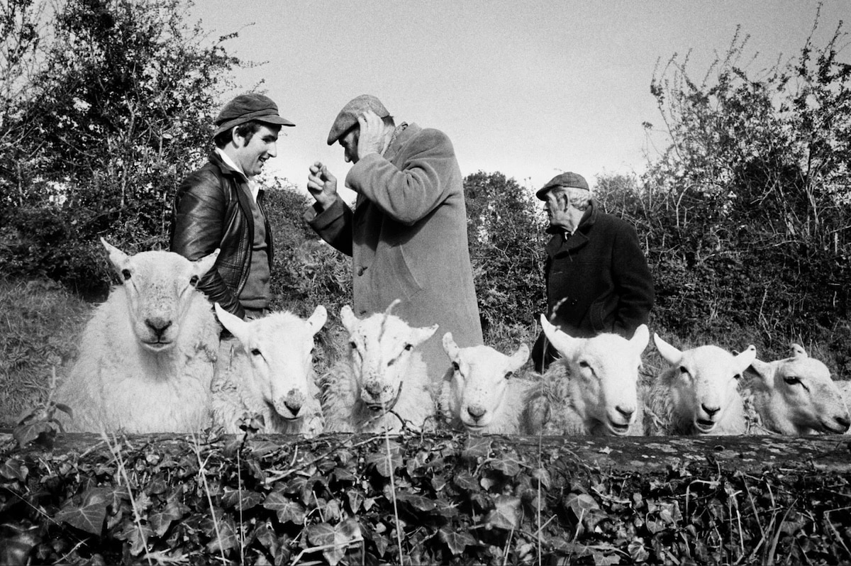 Martin Parr, A Fair Day, the Photographers' Gallery