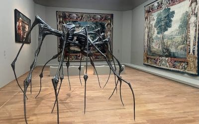 Metamorphoses Rijksmuseum Everything Changes Nothing Perishes – Miranda Carroll