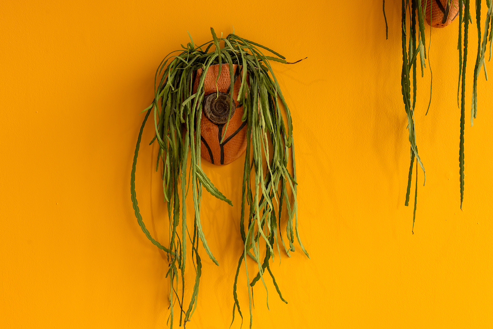 Installation view of Lucía Pizzani ‘Faunal Succession’, Focal Point Gallery, Southend-on-Sea, 2026. Photo: Anna Lukala