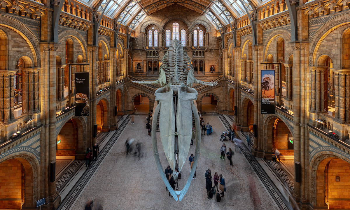 Top Ten UK Museum Visitor Records 2025