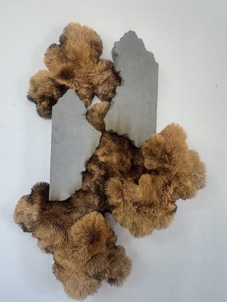 Cape Town studio visit