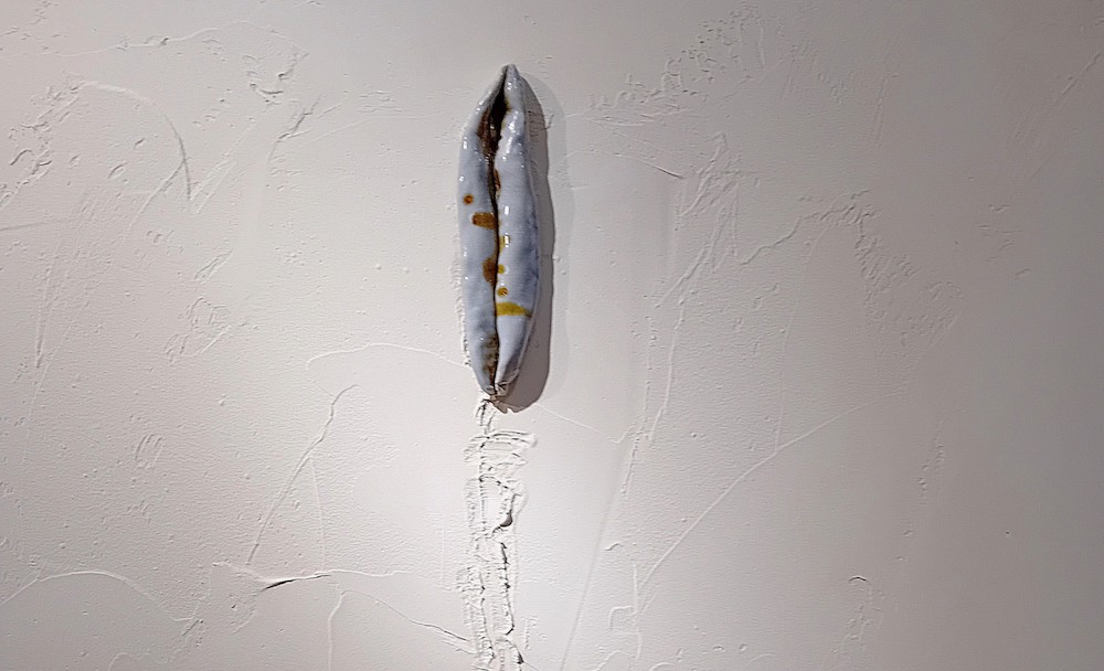 Installation view of Lucía Pizzani ‘Faunal Succession’, Focal Point Gallery, Southend-on-Sea, 2026. Photo: Anna Lukala