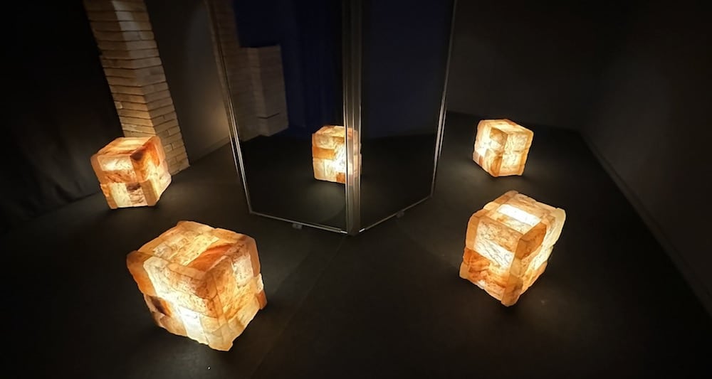 Pavlina Vagioni's Oikeiōsis, presented by the Hellenic Diaspora Foundation