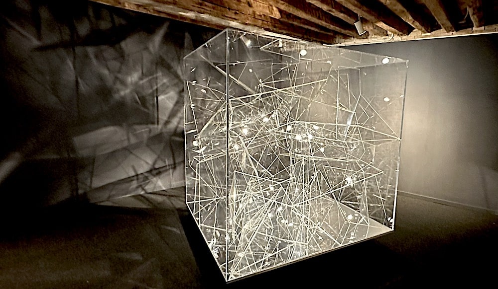 Pavlina Vagioni's Oikeiōsis, presented by the Hellenic Diaspora Foundation